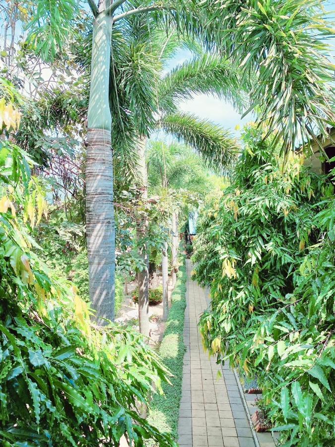 Baan Karnjana Hotel Samui サムイ島 エクステリア 写真